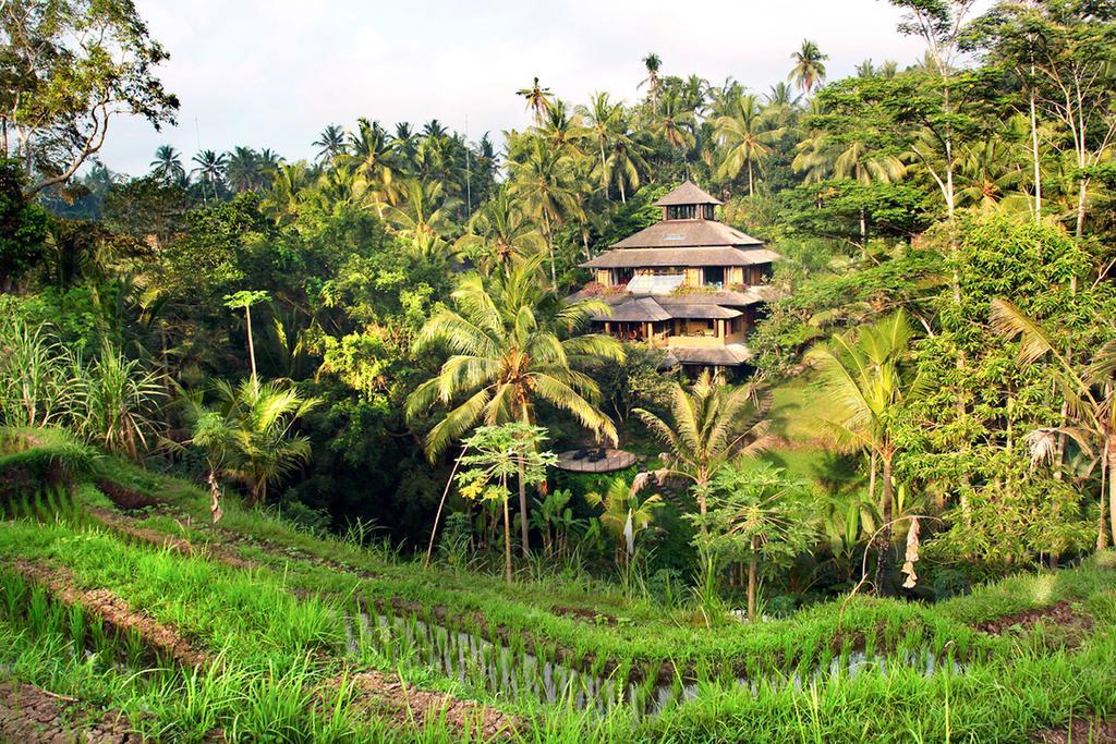 Pelangi Estate Villa อูบุด ภายนอก รูปภาพ